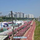 장일샐프타운