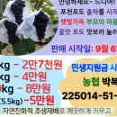 다산포도농원