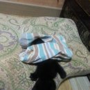 도그앤피플 동물병원 이미지