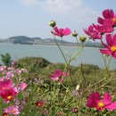 별미냉면 - 고양시 덕양구 신원로 10 | 별미냉면