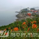 한라전설(주) 이미지