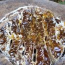 잡학다식 이미지