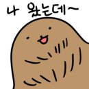 토끼와거북이2 이미지