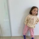 퍼피베이비 이미지