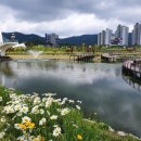 한신더휴1차 앞(2) 이미지