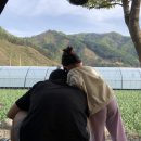 오래캠핑장 이미지