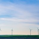 물처럼 바람처럼 이미지