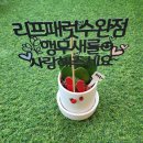 리프패럿 이미지