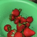 11620-21-145-7 | 밴쿠버 어학연수 후기 | 21주차 | Leaving party🥹