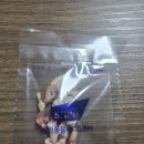 서울샤인동물병원 티스토리