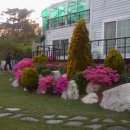 펜션델리앙 이미지