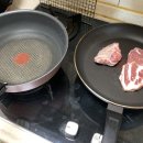 시선제주시청점 | 멸종위기사랑