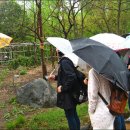 덕성초교 이미지