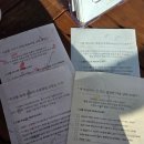 카르페가든 | 1월 겨울 로미지안가든 방문 후기(파크로쉬 근처 가볼 만한 곳)