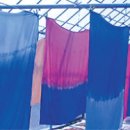 느티나무하우스 이미지