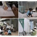 아영하우스 이미지