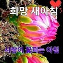 희망 새아침 이미지