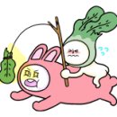 해주사우나 이미지
