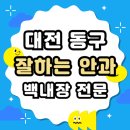 민들레안과의원 | 대전 동구 백내장 전문 병원 List 수술 잘하는 안과 추천