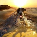 명동정비 이미지