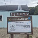 웃양지기농장 | 파주 체험농장 추천｜타조·토끼·염소 먹이주기 즐길 수 있는 우농타조농장(ft.주차, 가격)