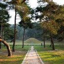 탈해왕릉 이미지