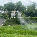 연무휴먼시아아파트 이미지