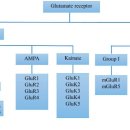 Re: glutamate receptor와 파킨슨 증상의 관계 탐구!! 이미지