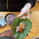 서울쌈밥 티스토리