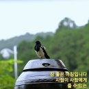 힐스테이트 평택1차 이미지