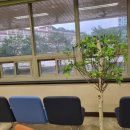 경기도도립녹양도서관 이미지