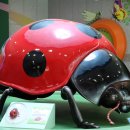 대안사 경내 이미지