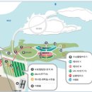 자라섬 캠핑장 잔디광장