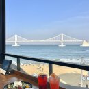 플랜트153 | 광안리맛집 쿠타팜 테라스, 발리 감성 광안리브런치카페 후기🌴