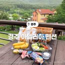 니케펜션 | 경주 여행 숙소 추천 아델리아 펜션 수영장 조식 솔직 후기