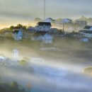 소나무리조트 이미지