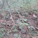 진주 전 송대산성 이미지