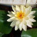 복골농장 이미지