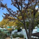 고지대 그린 테마공원 이미지