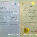 미르안전