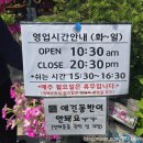 할머니 묵집 | 파주심학산맛집/할머니묵집 다녀온 찐 후기~