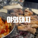 야외돼지 성서점 이미지