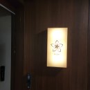 닥터스시