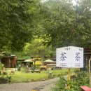 오드래산방 | 가평군 펜션 오드래산방 경치좋고 맛나게 힐링했다