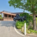 덕소 승마클럽 이미지