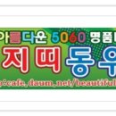 푸른솔실비