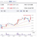 네이처코드 이미지