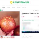 법인문경몰