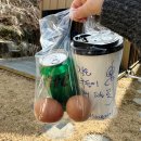 다옴 애견동반 펜션 | 가평애견동반독채펜션 반디빌리지 브루노 후기