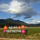 별,바람,꽃길 이미지